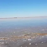 6 Person In