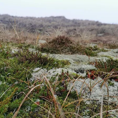 Apartament 6 Person In