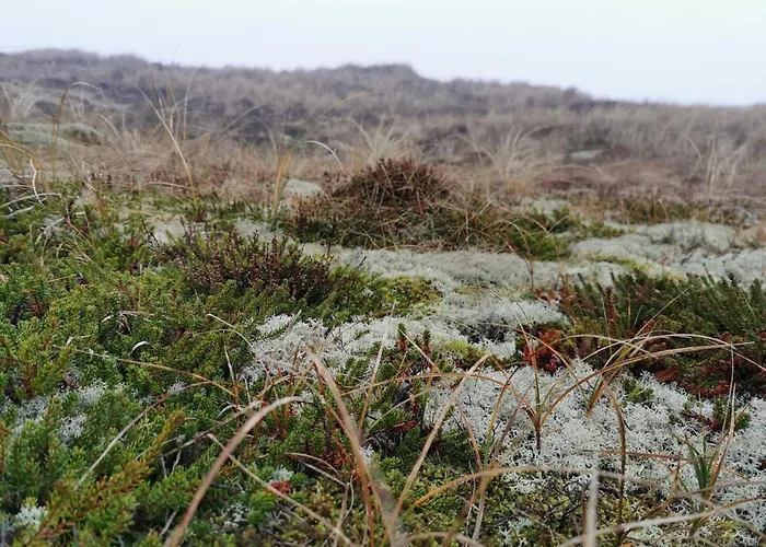 Apartment 6 Person In