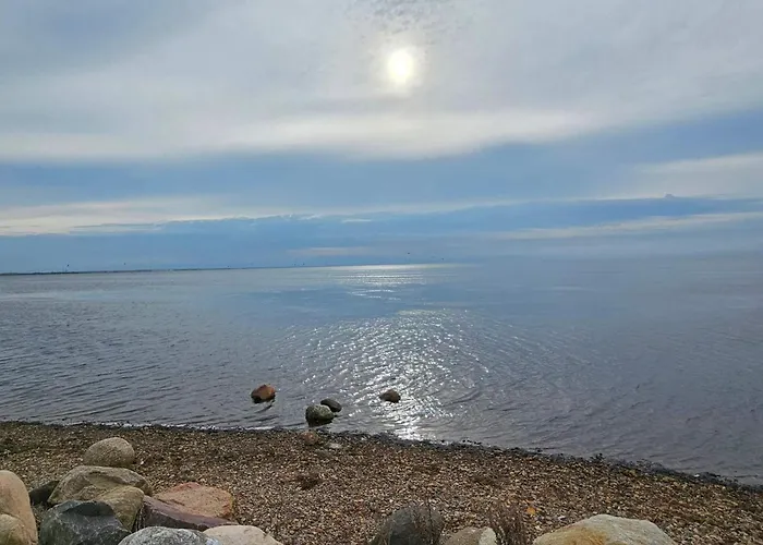 6 Person In Apartment