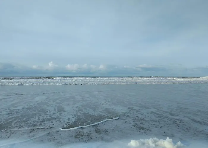 Apartment 6 Person In